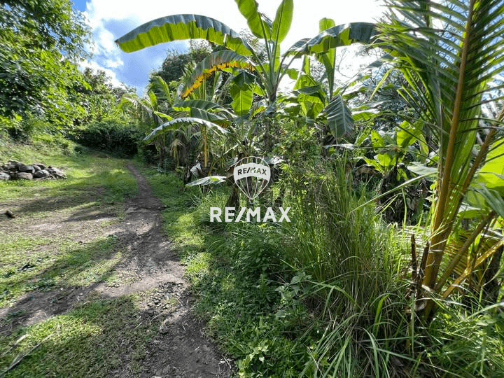DIJUAL : TANAH DI UJUNG PULAU BALI. COCOK BUAT VILLA