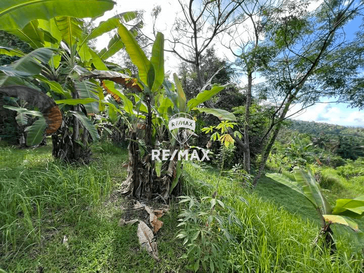 DIJUAL : TANAH DI UJUNG PULAU BALI. COCOK BUAT VILLA