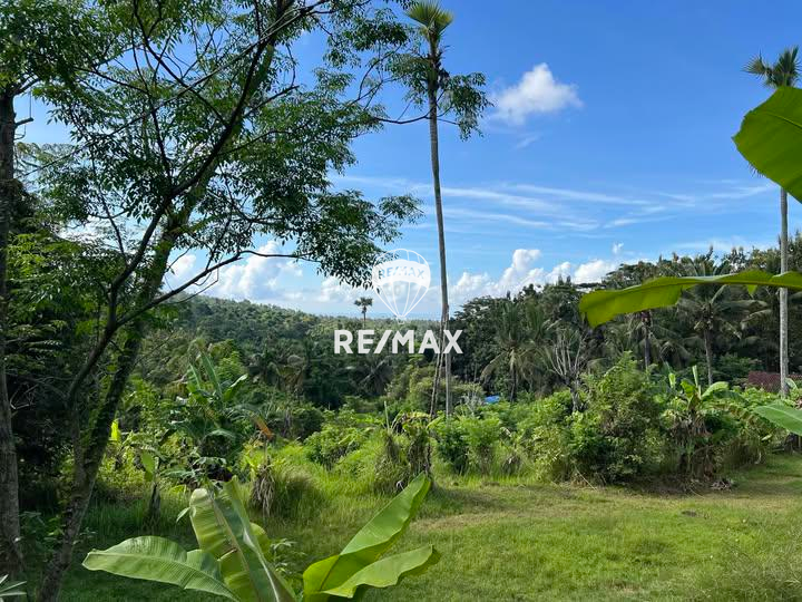 DIJUAL : TANAH DI UJUNG PULAU BALI. COCOK BUAT VILLA
