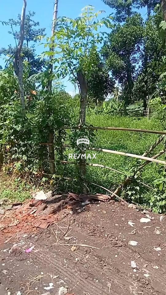 DIJUAL TANAH KAVLING – BANJARSARI, GLAGAH BANYUWANGI
