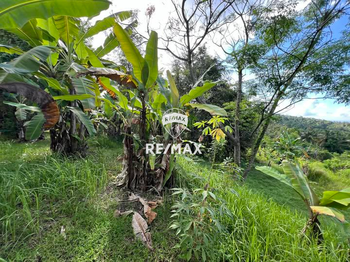 DIJUAL : TANAH DI UJUNG PULAU BALI. COCOK BUAT VILLA